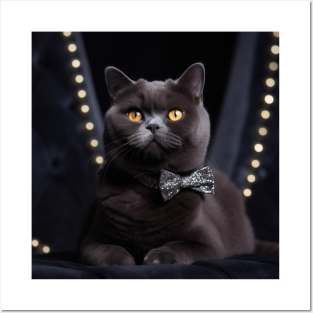 Elegant Black British Shorthair Cat Posters and Art